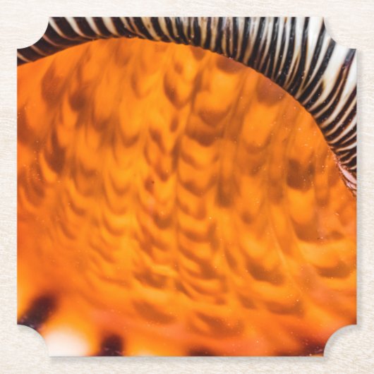 魅惑のシーシェル ペーパーコースター (正面)