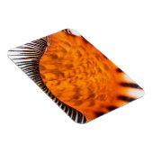 魅惑のシーシェル マグネット (右側)