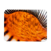 魅惑のシーシェル マグネット (横)