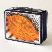 魅惑のシーシェル メタルランチボックス (裏面)