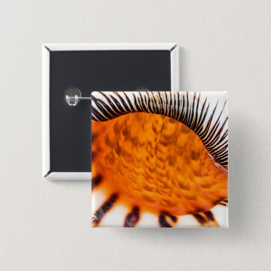 魅惑のシーシェル 缶バッジ (正面&裏面)