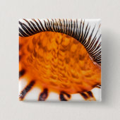 魅惑のシーシェル 缶バッジ (正面)