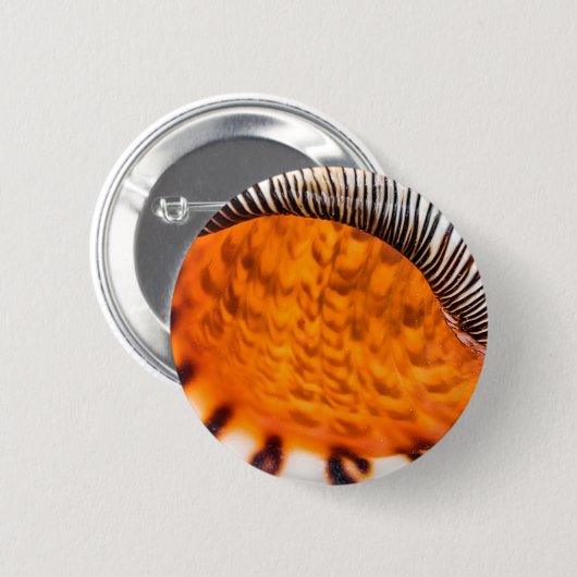 魅惑のシーシェル 缶バッジ (正面&裏面)