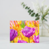 魅惑のチューリップ12 ポストカード (スタンド正面)