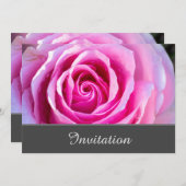 魅惑のピンクのバラの招待状 招待状 (正面/裏面)