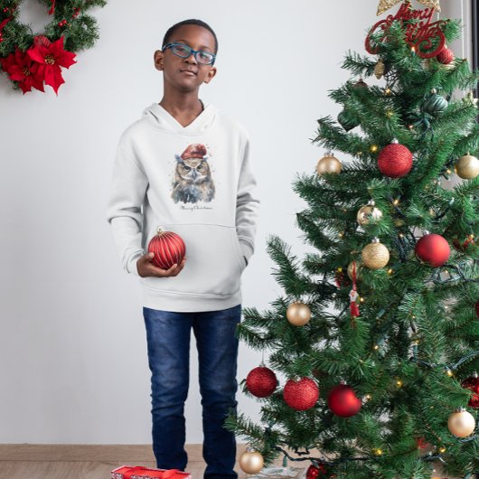 魅惑の冬のフクロウカスタム、