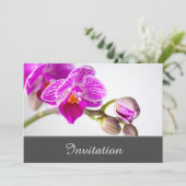 魅惑の招待状 オーキッド 招待状 (スタンド正面)