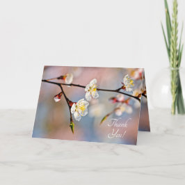 魅惑の日本のアプリコットの花 サンキューカード