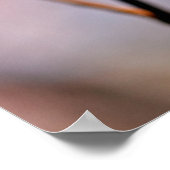 魅惑の日本のアプリコットの花 ポスター (角)