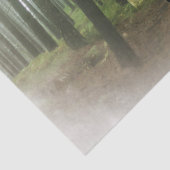 魅惑の森のティッシュペーパー 薄葉紙 (詳細)