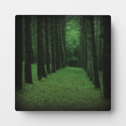 魅惑の森のプラーク フォトプラーク (正面)