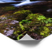 魅惑の森の滝 ポスター (角)