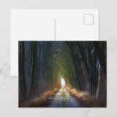 魅惑の森の道3 ポストカード (正面/裏面)