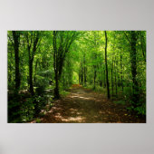 魅惑の森の道5 ポスター (正面)