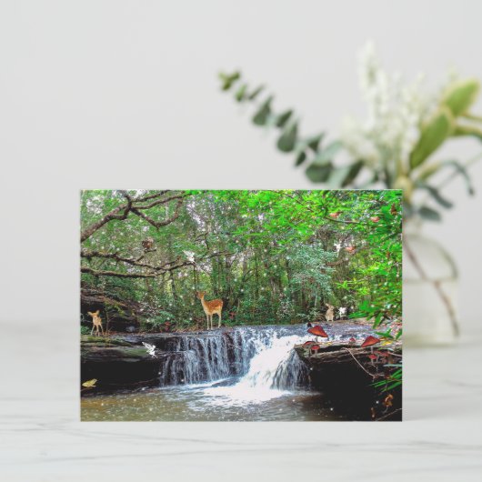 魅惑の森の鹿カエルのフクロウの妖精への招待 招待状 (スタンド正面)