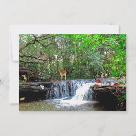 魅惑の森の鹿カエルのフクロウの妖精への招待 招待状