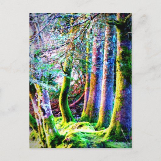 魅惑の森抽象芸術アートハガキ ポストカード (正面)