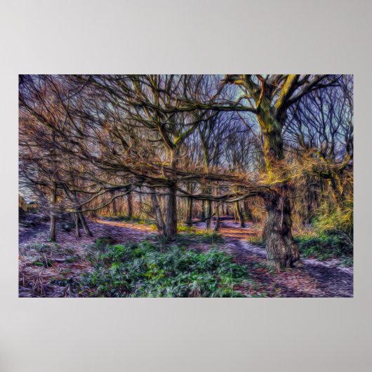 魅惑の森1 ポスター (正面)