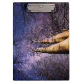 魅惑の森 クリップボード (正面)