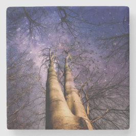 魅惑の森 ストーンコースター