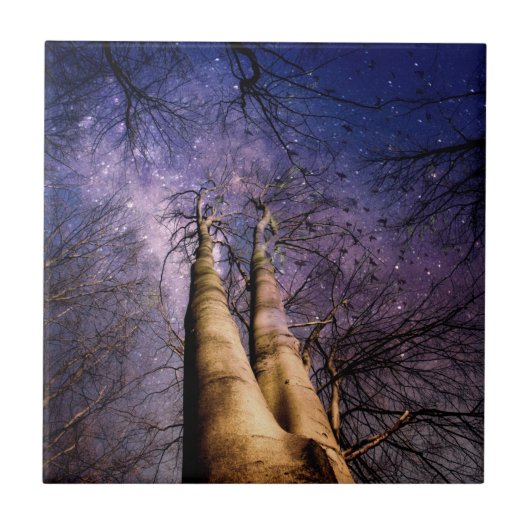 魅惑の森 タイル (正面)