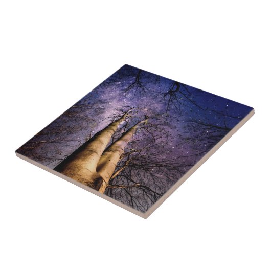 魅惑の森 タイル (側面)