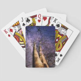 魅惑の森 トランプ