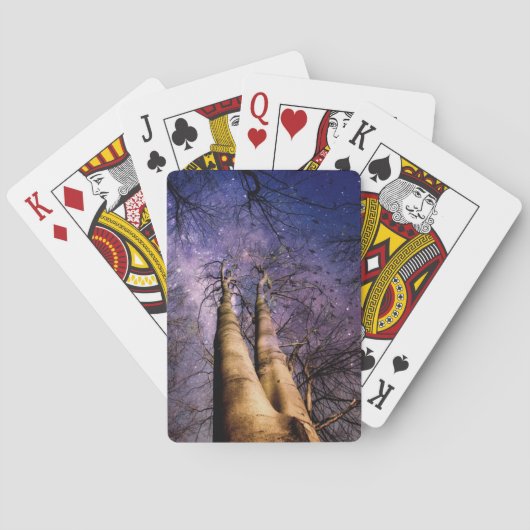 魅惑の森 トランプ (裏面)