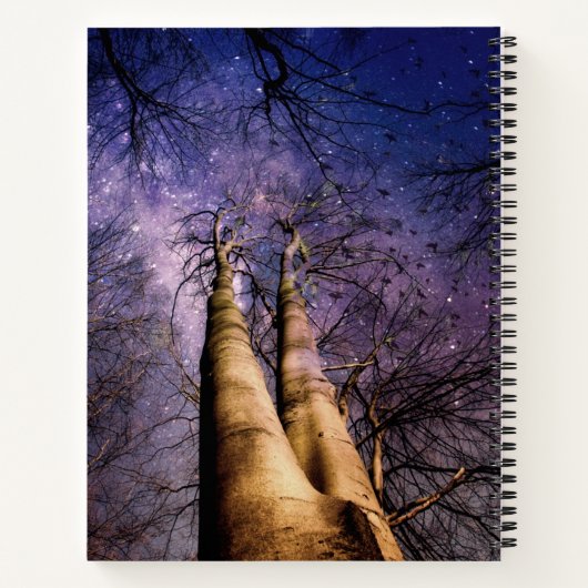 魅惑の森 ノートブック (裏面)