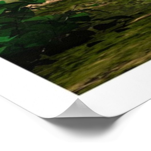 魅惑の森 ポスター (角)