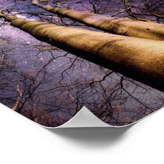 魅惑の森 ポスター (角)