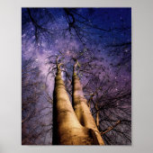 魅惑の森 ポスター (正面)