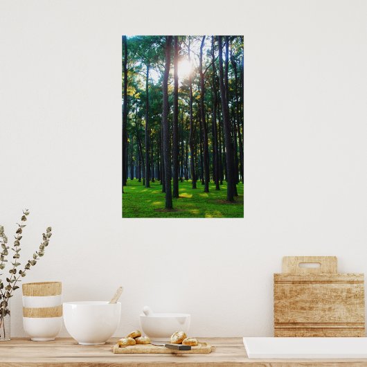 魅惑の森 ポスター (キッチン)