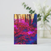 魅惑の森 ポストカード (スタンド正面)