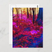 魅惑の森 ポストカード (正面/裏面)