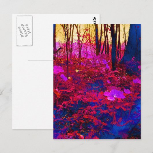 魅惑の森 ポストカード (正面/裏面)