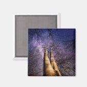 魅惑の森 マグネット (正面/裏面)