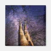 魅惑の森 マグネット (正面)