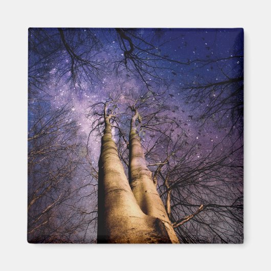 魅惑の森 マグネット (正面)