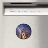 魅惑の森 マグネット (インサイチュ (食洗機))