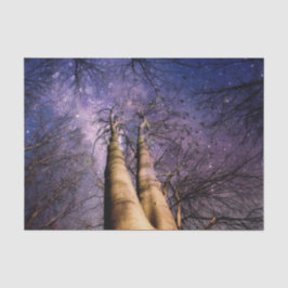 魅惑の森 薄葉紙