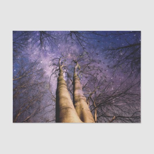 魅惑の森 薄葉紙 (正面)