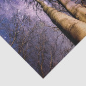 魅惑の森 薄葉紙 (詳細)