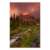 魅惑の草原 ポスター (正面)