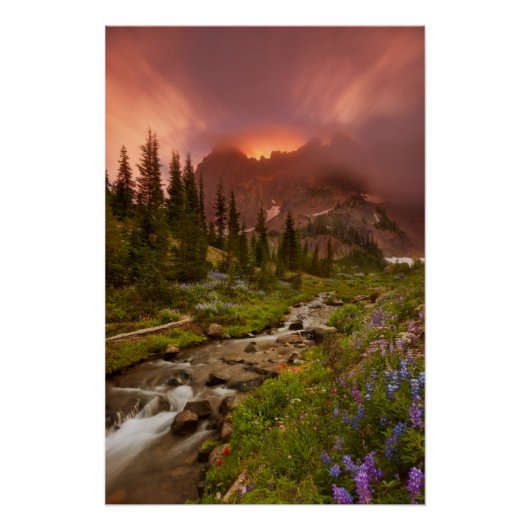 魅惑の草原 ポスター (正面)