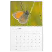 魅惑の蝶カレンダー カレンダー (1月 2027)