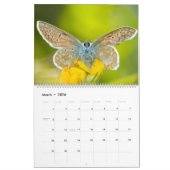 魅惑の蝶カレンダー カレンダー (3月 2026)