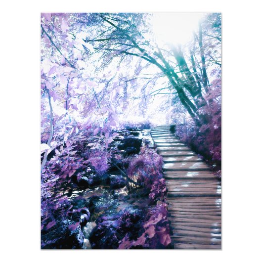 魅惑の道 フォトプリント            (正面)