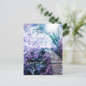 魅惑の道 ポストカード (スタンド正面)