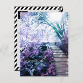 魅惑の道 ポストカード (正面/裏面)